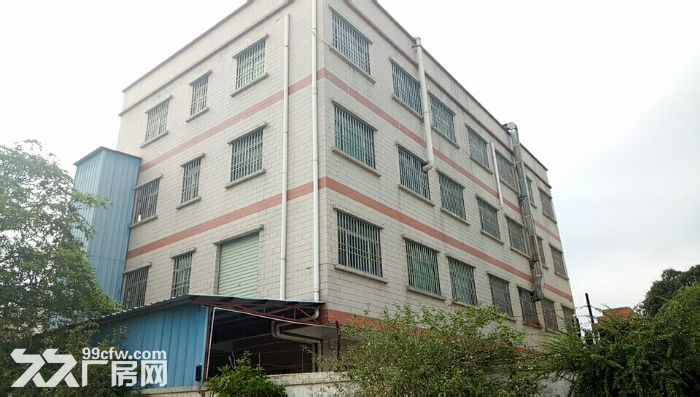 原房东直租!清溪九乡独栋四层厂房共1500平 - 3