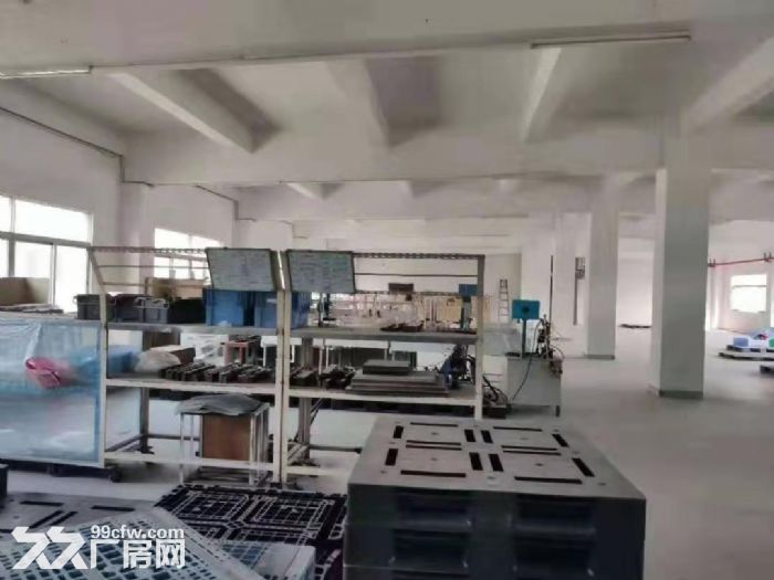 塘厦石潭布 独院厂房出租3827平方,有办公楼 空地大 - 2