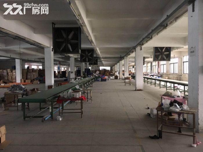 清溪镇中心独门独院标准3900方出租 形象好 - 2
