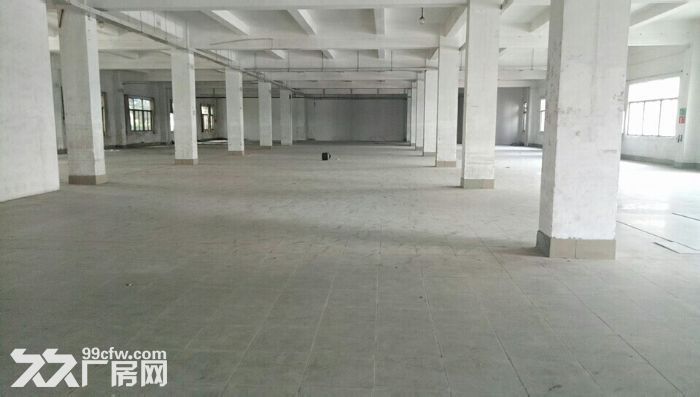 清溪谢坑全新一楼标准厂房对外招租2000平 - 4