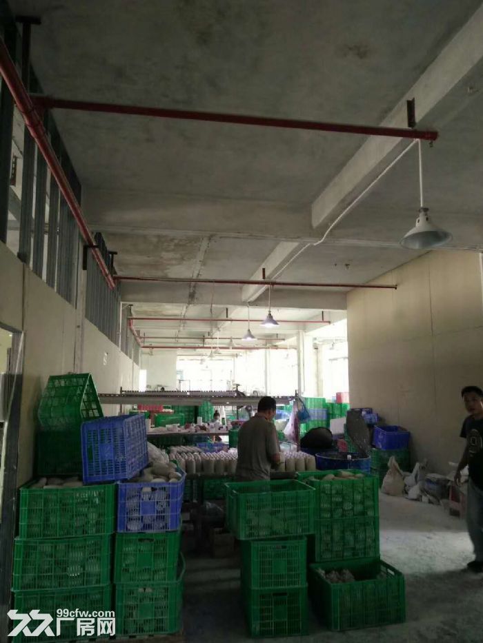 清溪铁场独院标准一楼730平方地坪漆装修现成格局 - 3