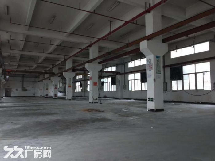 凤岗雁田出租独门独院3万平方，高6米，带装修办公室 - 4