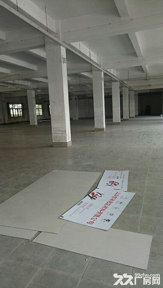 清溪谢坑全新一楼标准厂房对外招租2000平 - 3