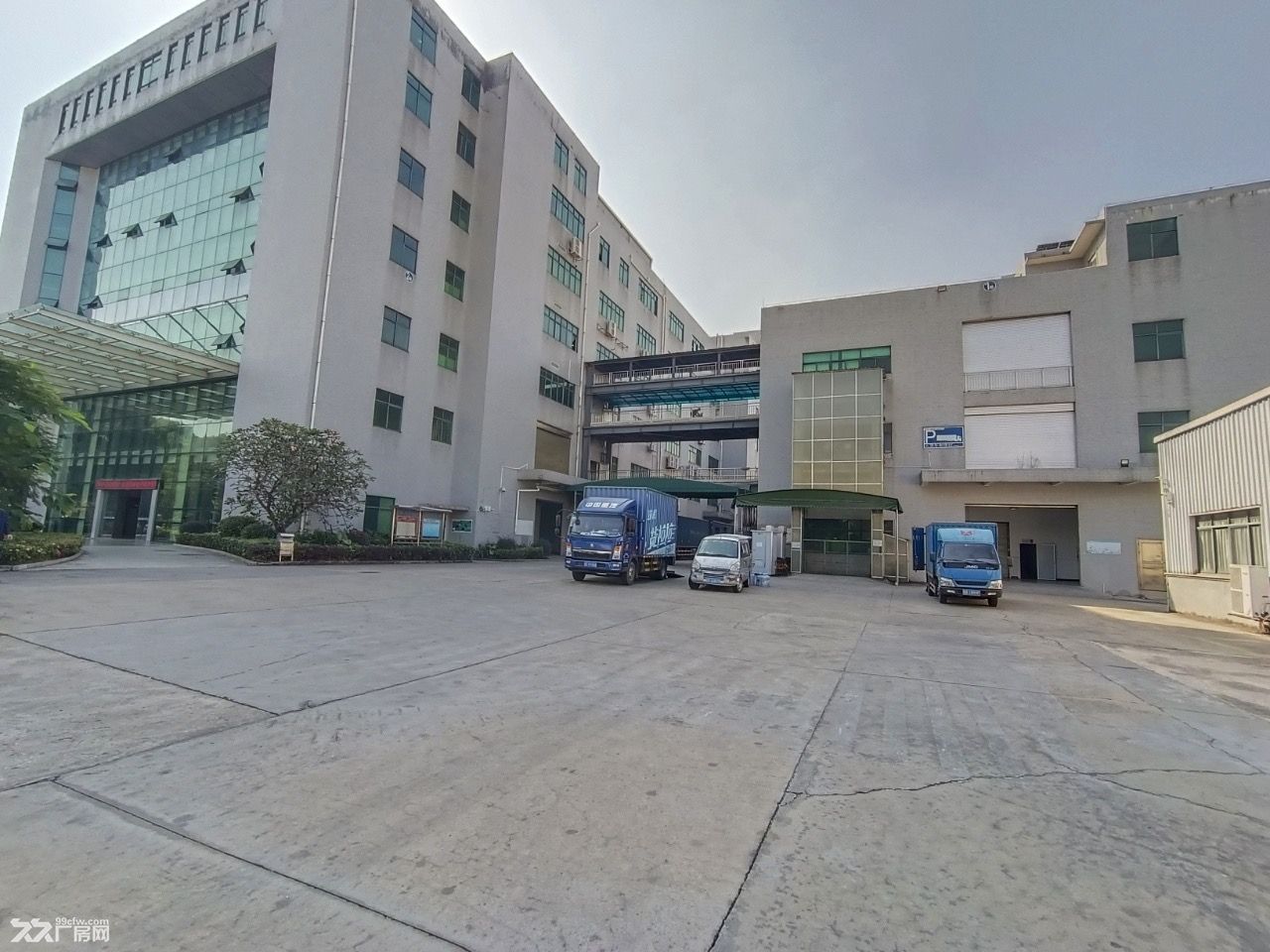 原房东大路边红本8900平15米高砖墙到顶单一层钢构厂房出租 - 3