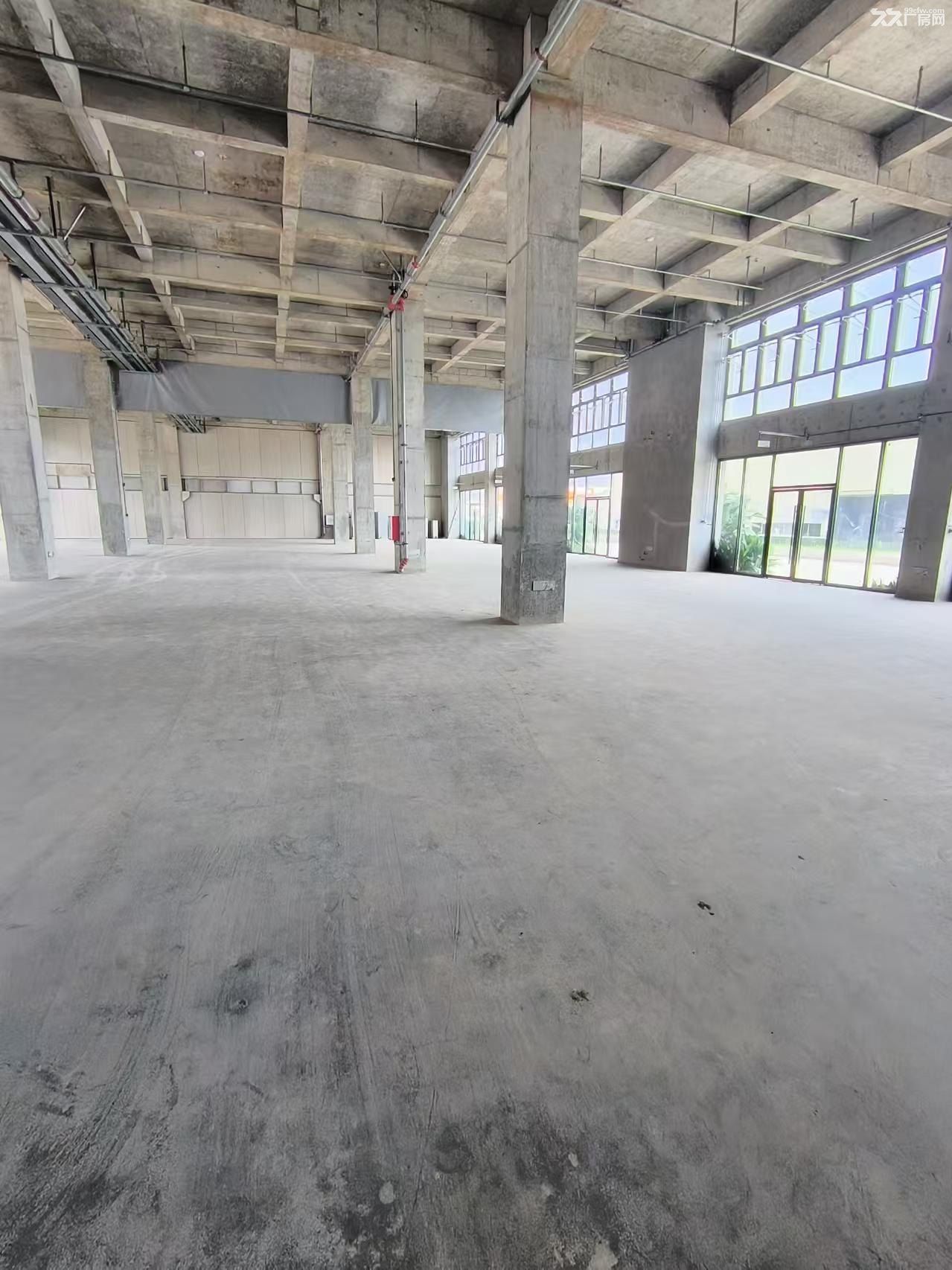 惠城大路边原房东13000平形象超好全新独栋厂房出租,大小可分 - 3