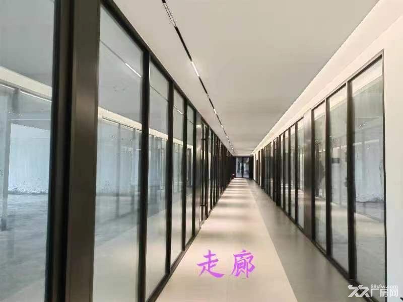 上市企业形象,珠江口稀缺重工业厂房16000平单一层(中) - 2