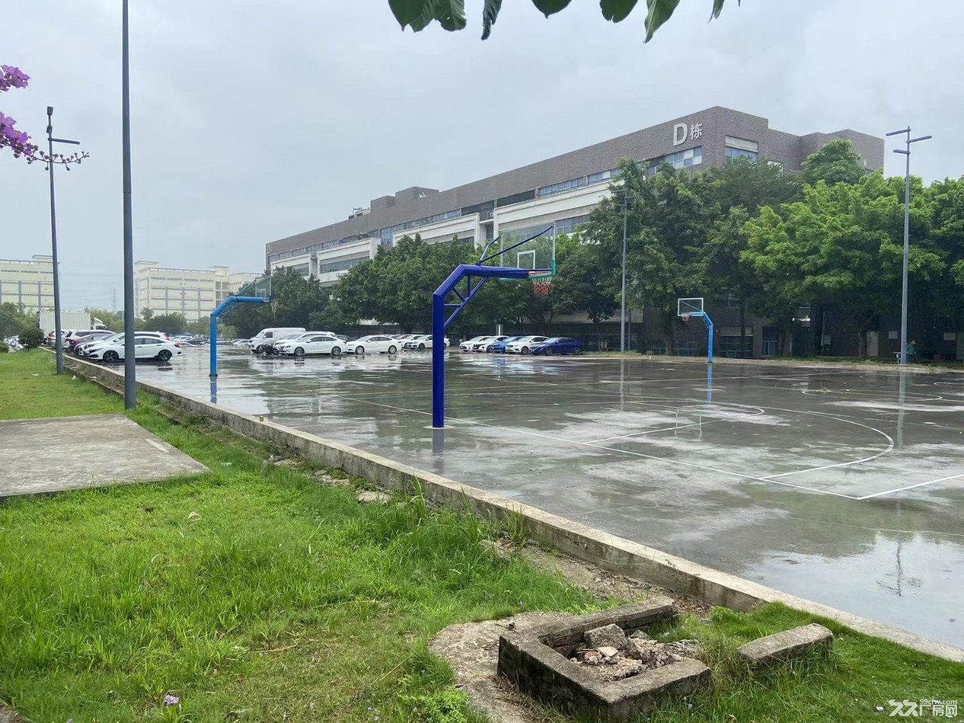 深圳原房东独院5500平实际面积出租 形象好空地大车 - 3