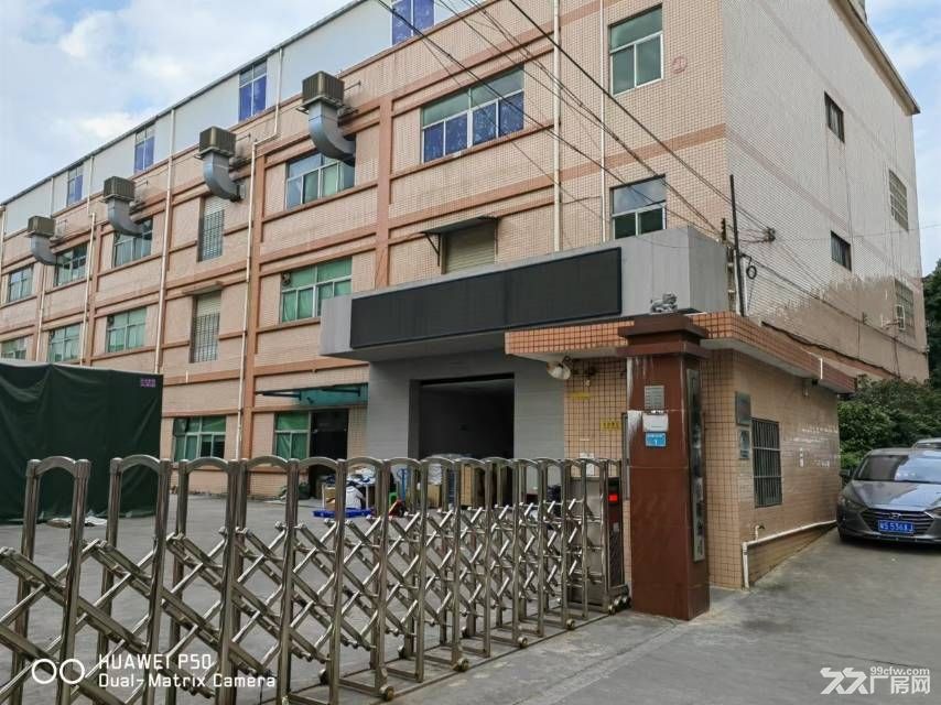 寮步原房东小独院总面积4800平方租金13元 - 5
