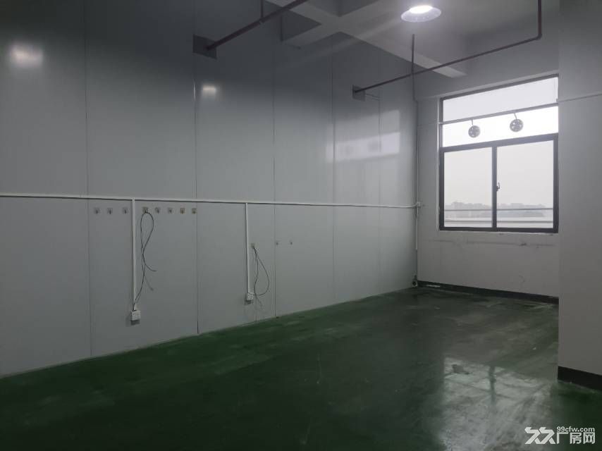 寮步石龙坑一楼2300平方八楼1200平方可分租 - 3