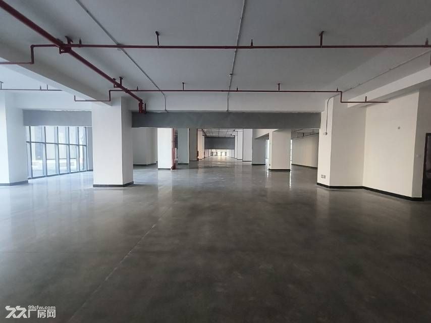 寮步厂房出租全新工业园分租好招工 - 4