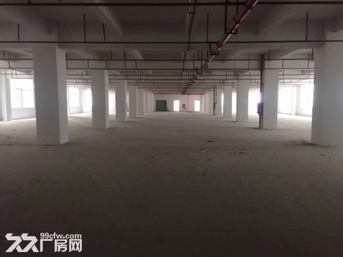 清溪近高速标准厂房出租1750平 现成消防喷淋 - 4