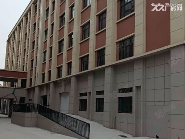 宁波北仑厂房仓库出租 - 5