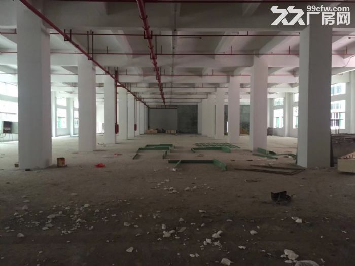 清溪近高速标准厂房出租1750平 现成消防喷淋 - 2