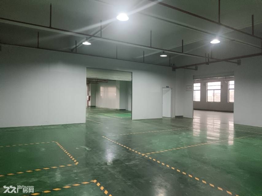 寮步石龙坑一楼2300平方八楼1200平方可分租 - 5