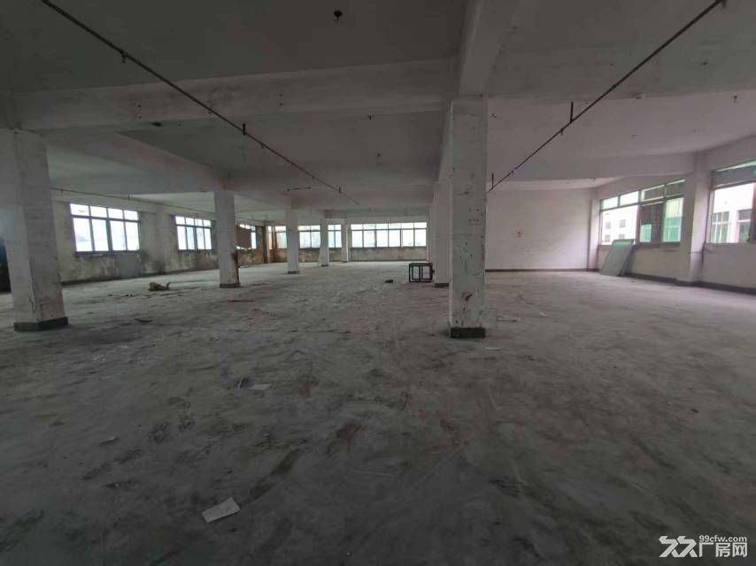 寮步汽车城附近原房东小独院2000平方 - 3