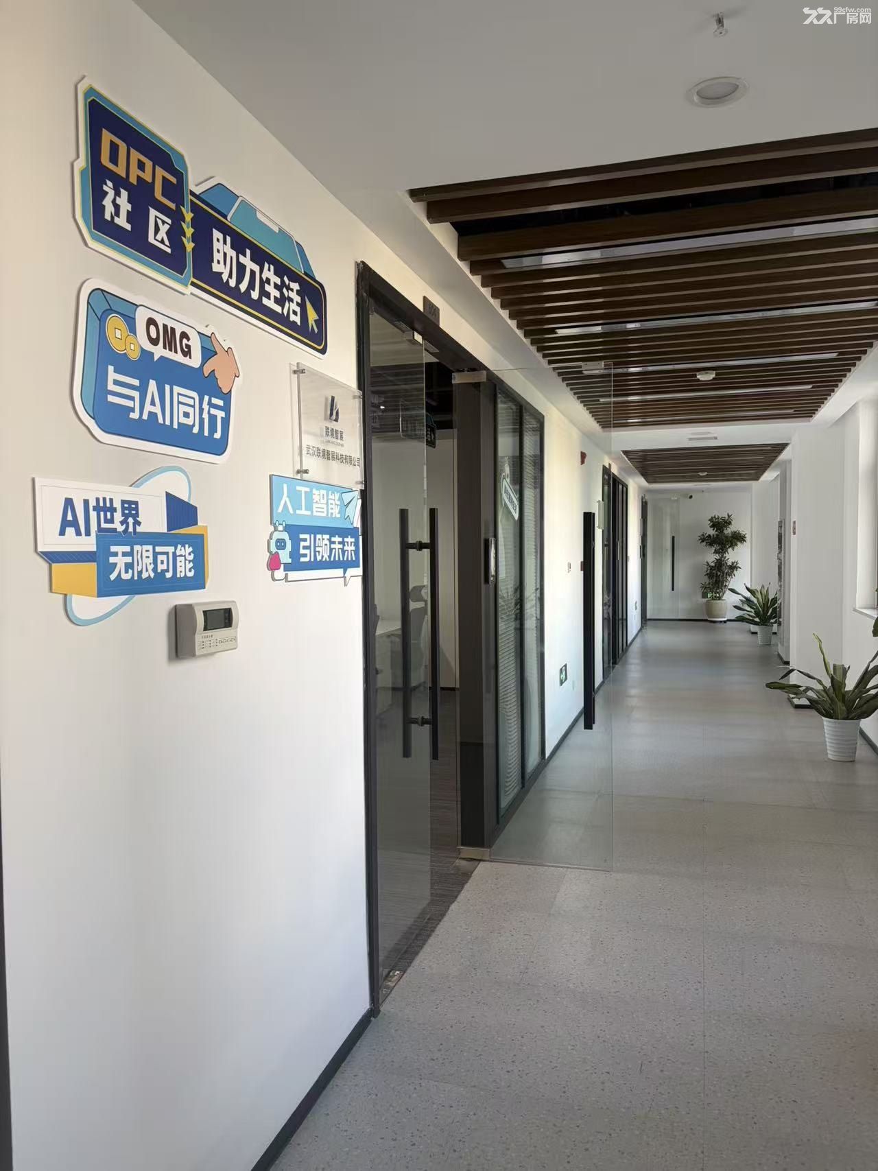 光谷佳园路 海创园精装修 研发办公楼 小面积79平至285平 - 2