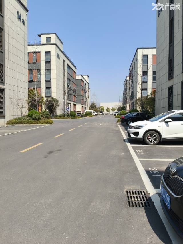江夏庙山大平层/独栋厂房出租 - 3