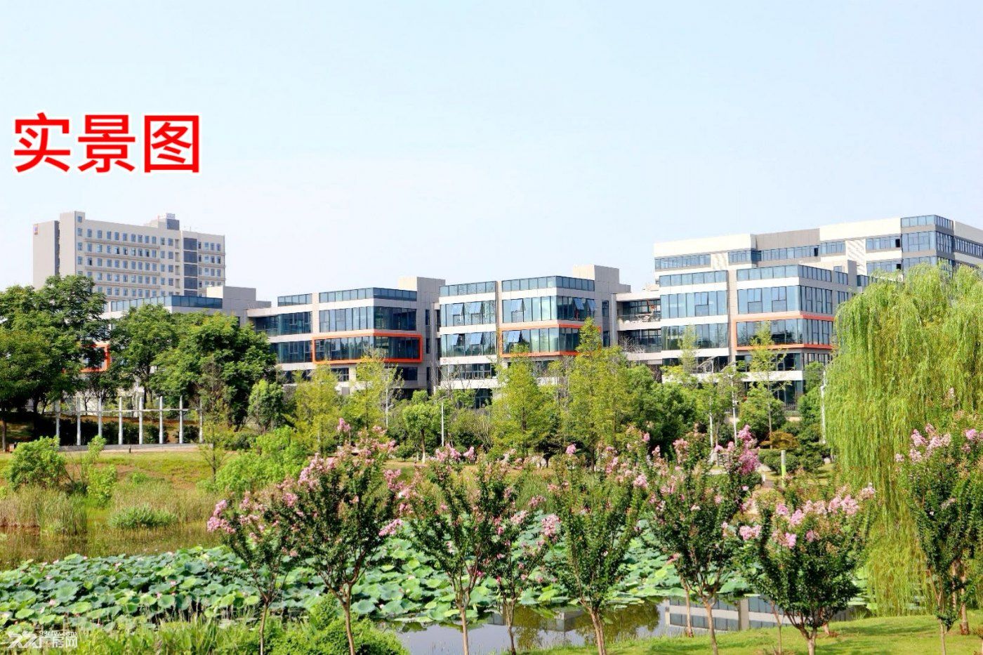 地铁6号线 檀木桥站 正规园区 全新简装厂房 出租 - 5