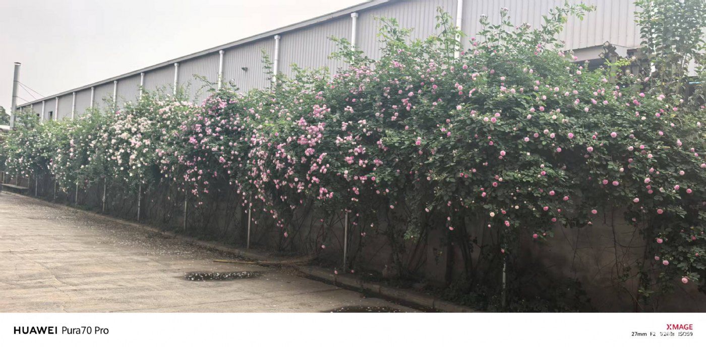 经开区标准生产厂房10000平出租，配有行车、办公区、餐厅 - 6