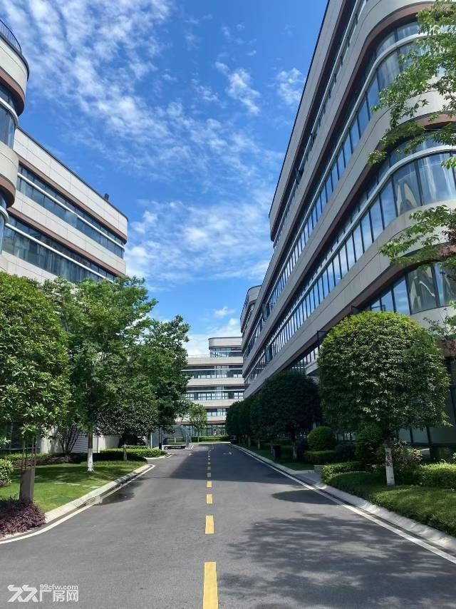 高新西区,独栋,精装框架结构厂房,2410平。领包入住 - 5
