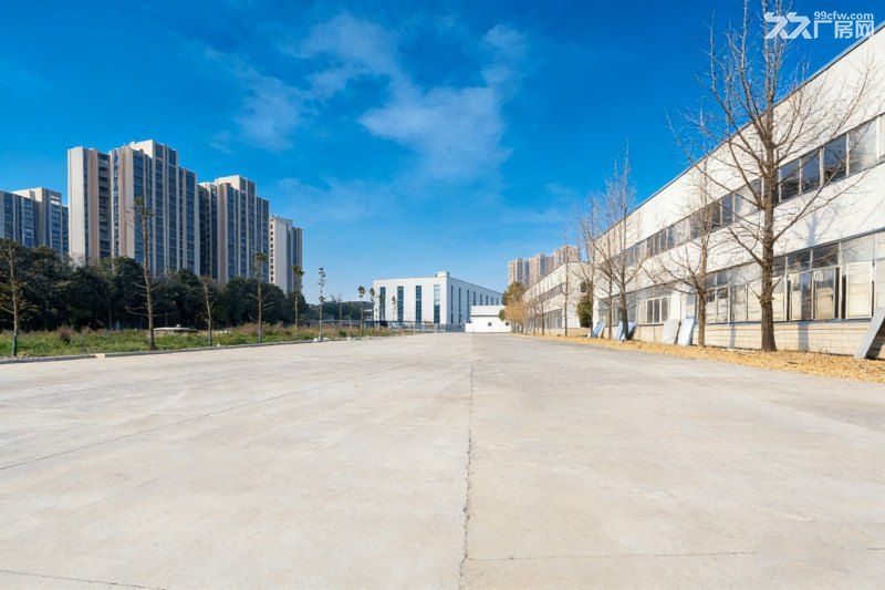 成都6000平食品厂房出租:豆制品企业建厂选址解决方案 - 6