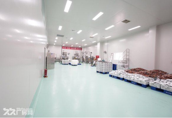 成都6000平食品厂房出租:调理肉制品建厂选址优选场地 - 5