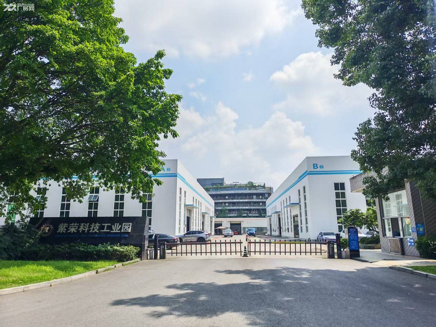 高新西区钢棚厂房可办公办生产 - 2