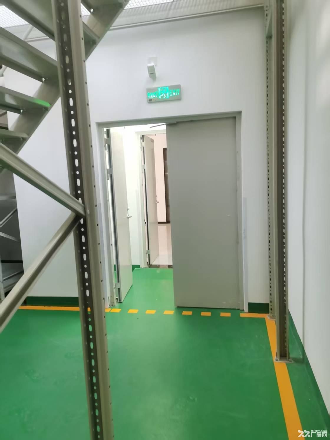 温江500平米厂房出租 - 7