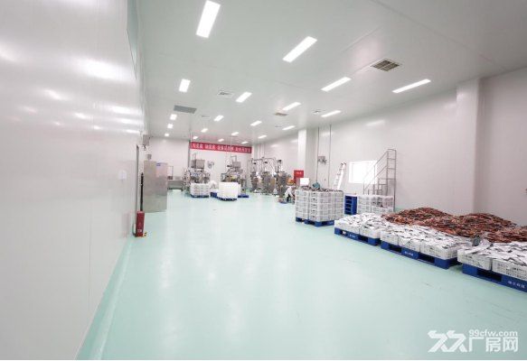 成都6000平食品厂房出租:精酿啤酒企业合规扩产优选场地 - 5