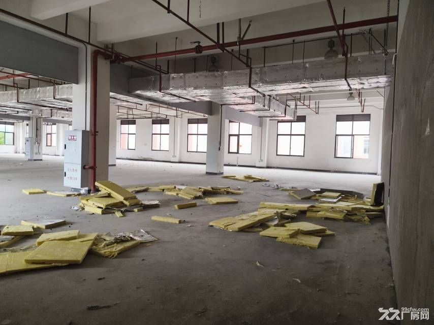 九龙坡含谷工业园1212平,厂房库房出租 - 3