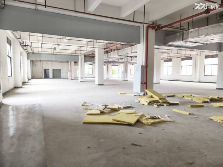 九龙坡含谷工业园1212平,厂房库房出租 - 7