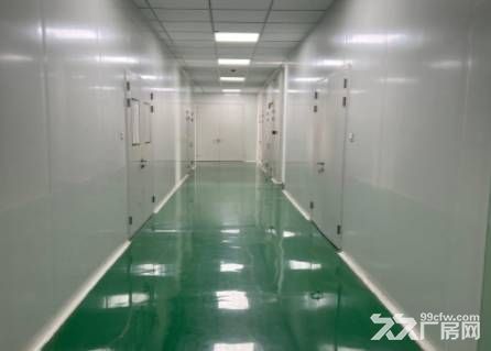 高新西部大道丰泽科技园2层厂房出租730平带环评 - 2