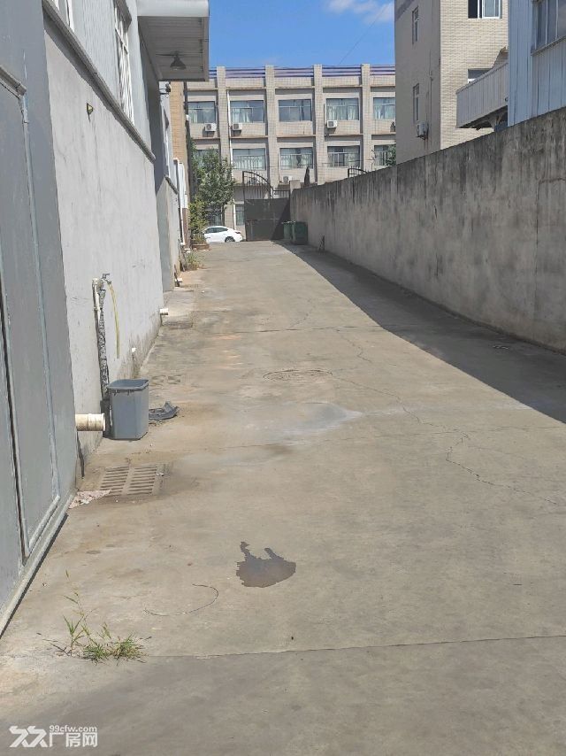 标准厂房1200平方出租 - 4