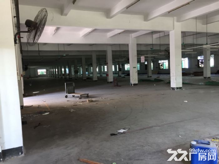 清溪九乡高速附近新出一楼厂房1400平 面积实在 - 2