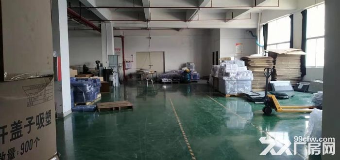 凤岗雁田海关附近 一二楼4000平米厂房仓库出租 大小可分租 - 3