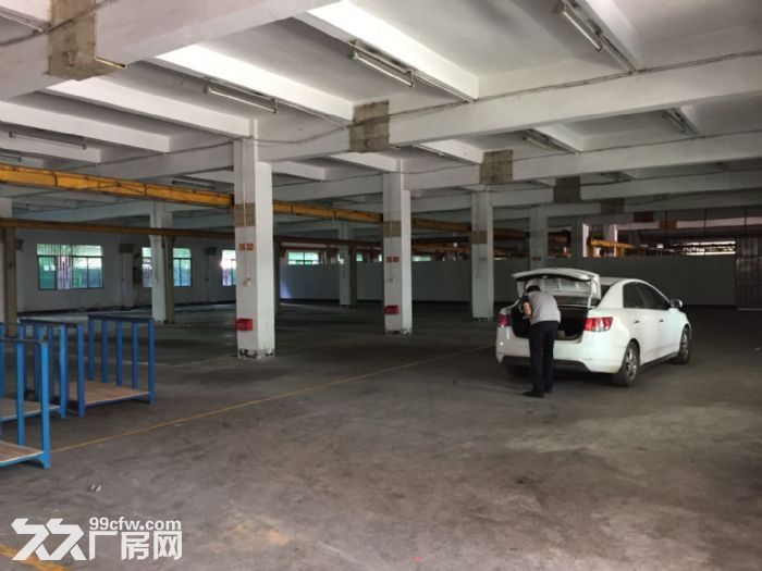 清溪九乡高速附近新出一楼厂房1400平 面积实在 - 3