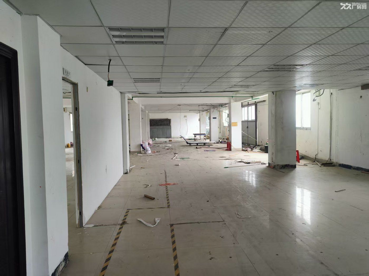 厦门翔安业主招租仓库厂房空地出租友达光电旁 - 4