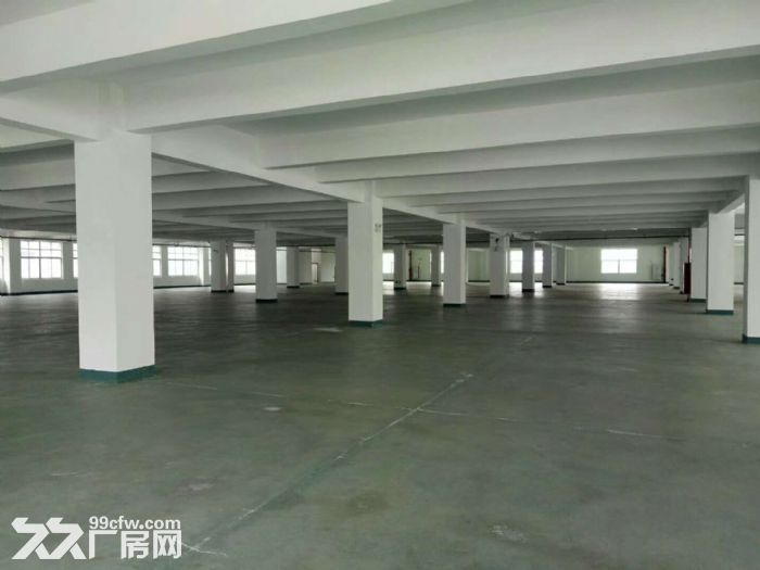 集美杏林灌口标准仓库10000平出租可分租