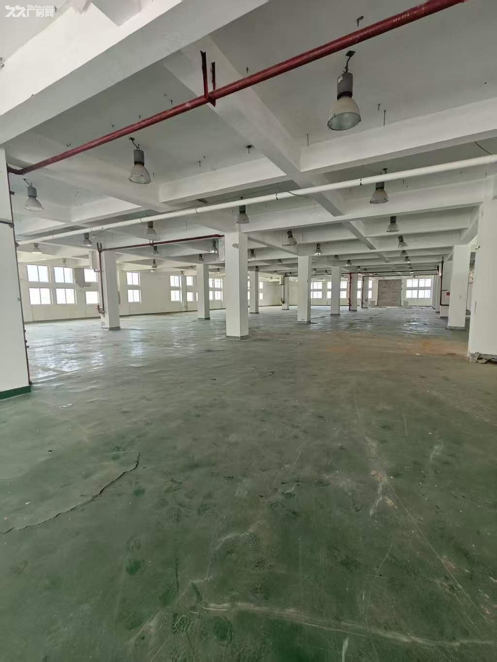 个人厂房长乐古槐附近独栋砖混结构标准厂房 可分割 - 3