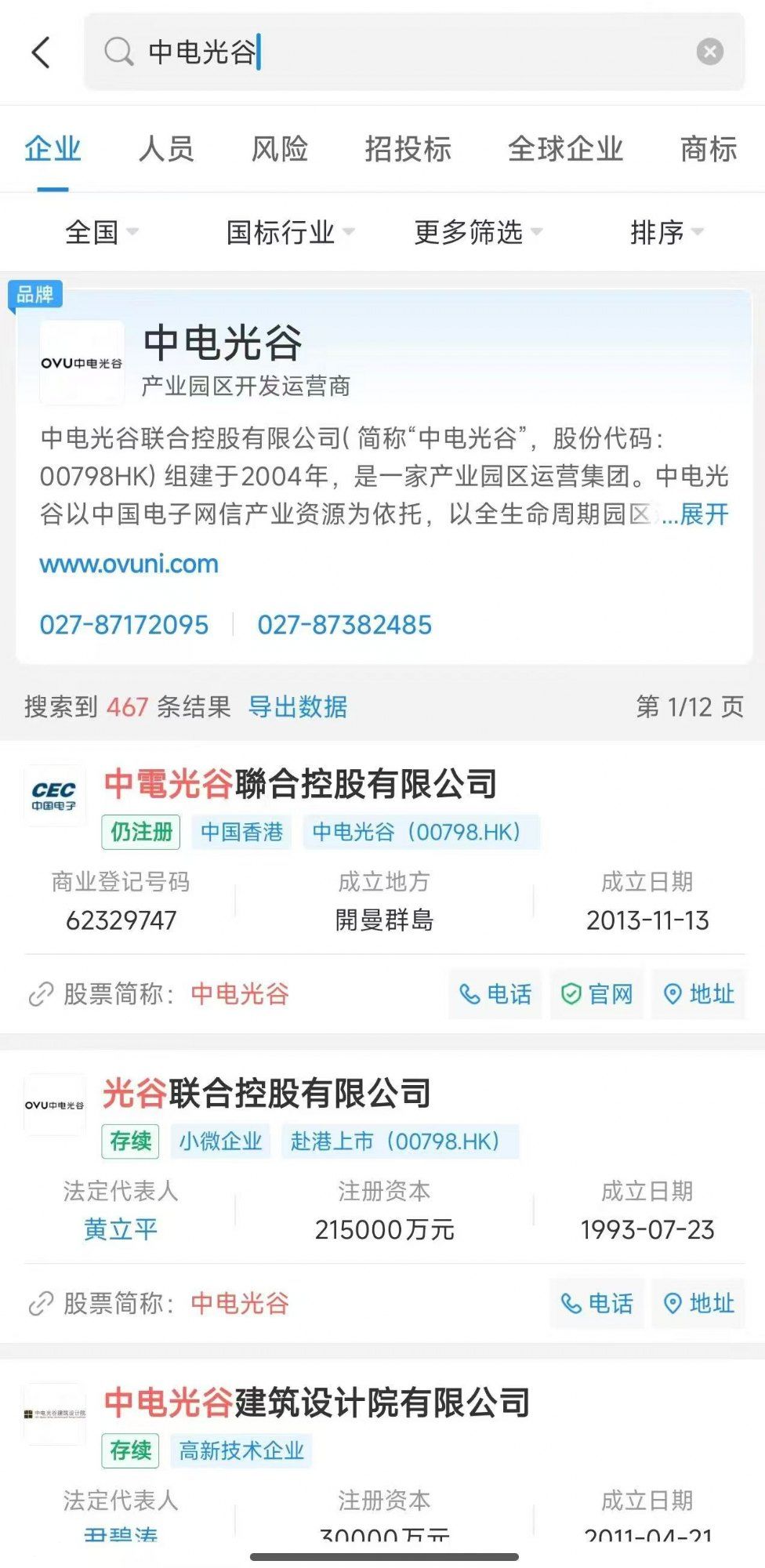 火炬集团+中电光谷合作/小独栋/分层/配套非常完善 - 7