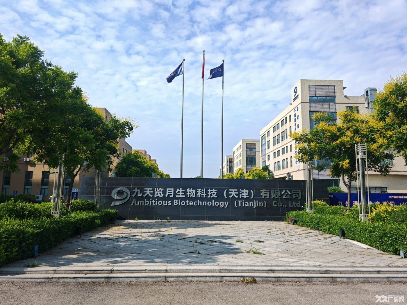 滨海高新区两层独栋（丙二）厂房、万级洁净车间租售招商