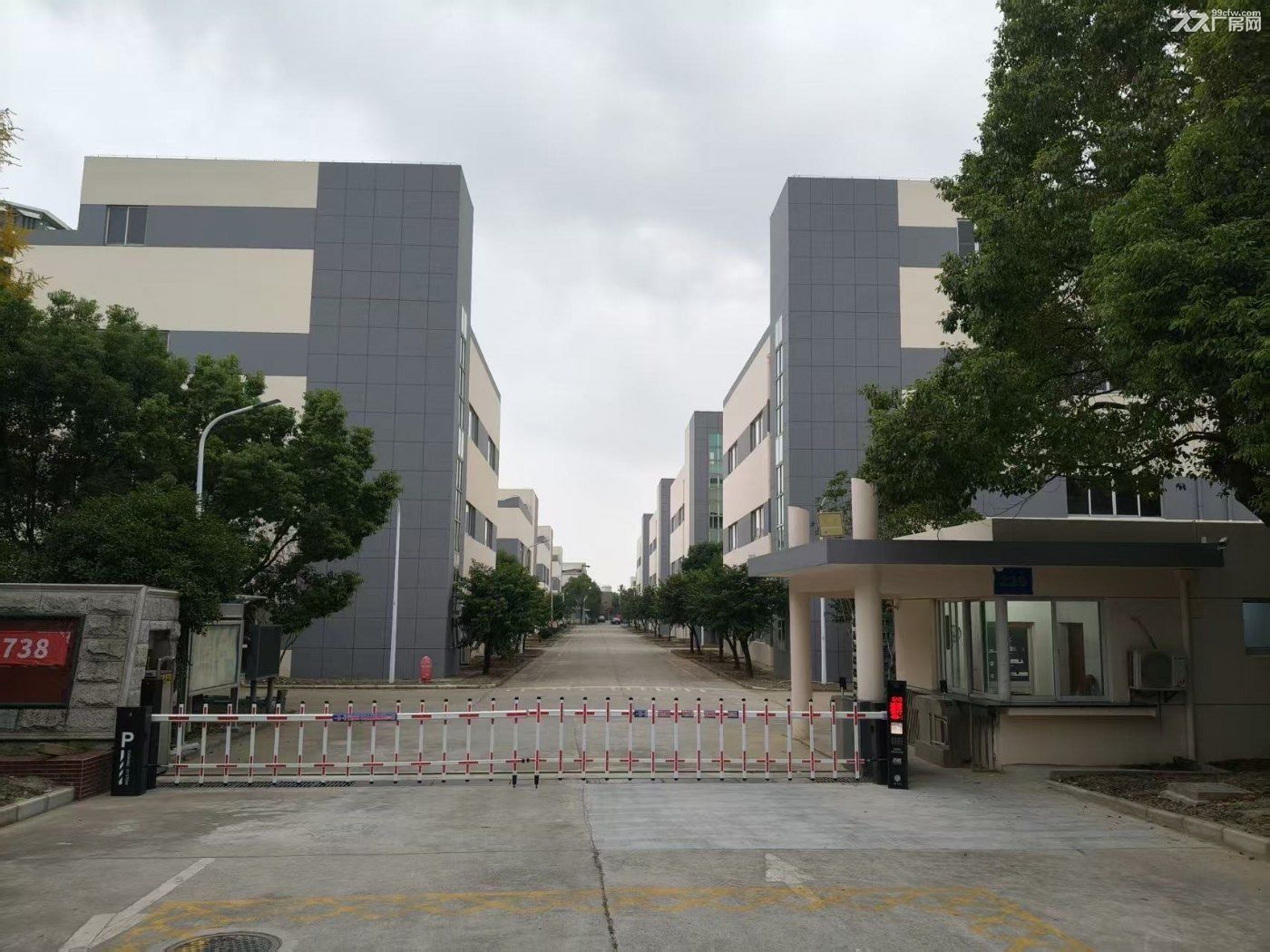 立讯精密对面的丙类独栋厂房 - 2