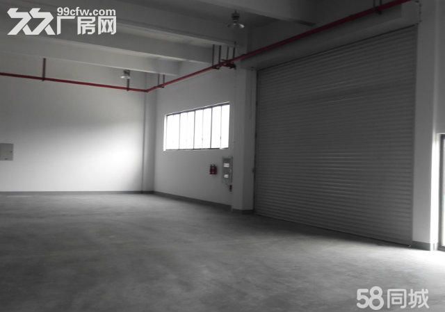 个人.将军大道旁一楼1250平米厂房仓库高8米, - 8