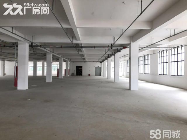 个人.开拓路一楼1500平米高8米仓库出租 - 4