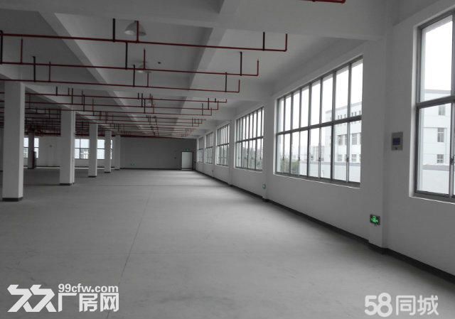 个人.将军大道旁一楼1250平米厂房仓库高8米, - 2