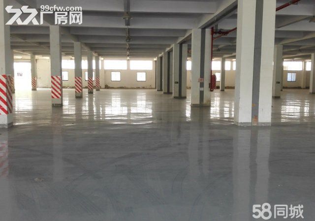 个人.开拓路一楼1500平米高8米仓库出租 - 5