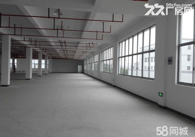个人.开拓路一楼1500平米高8米仓库出租 - 3