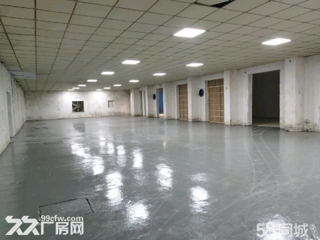南通 通州区 独门独院厂房 性价比高 - 3
