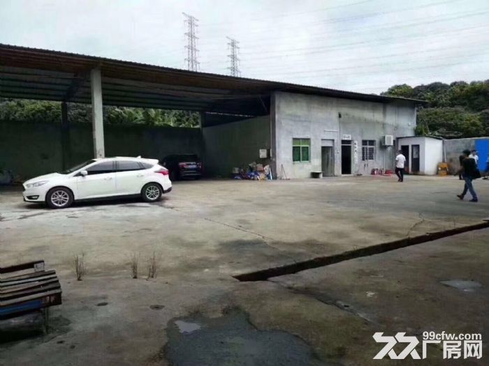 塘厦林村出租经典小独院1680平方 独院钢构带行车