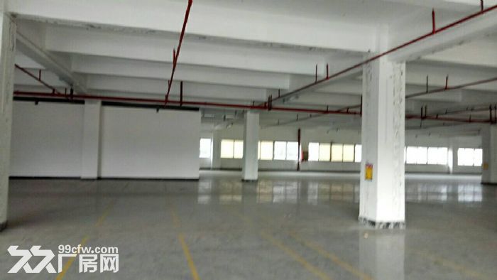 清溪三中靓丽精装修标准厂房招租楼上2500平大光彩